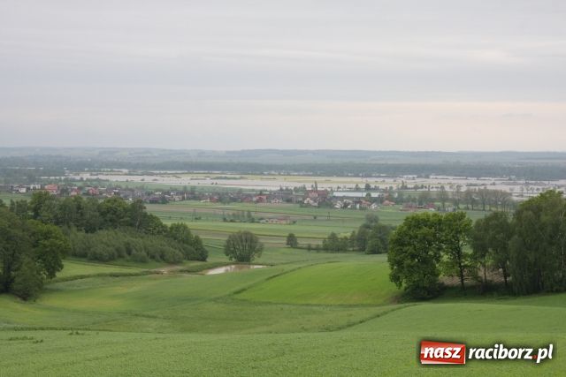 Zdjęcie w galerii na portalu naszraciborz.pl: Powiat raciborski pod wodą wiadomości z regionu