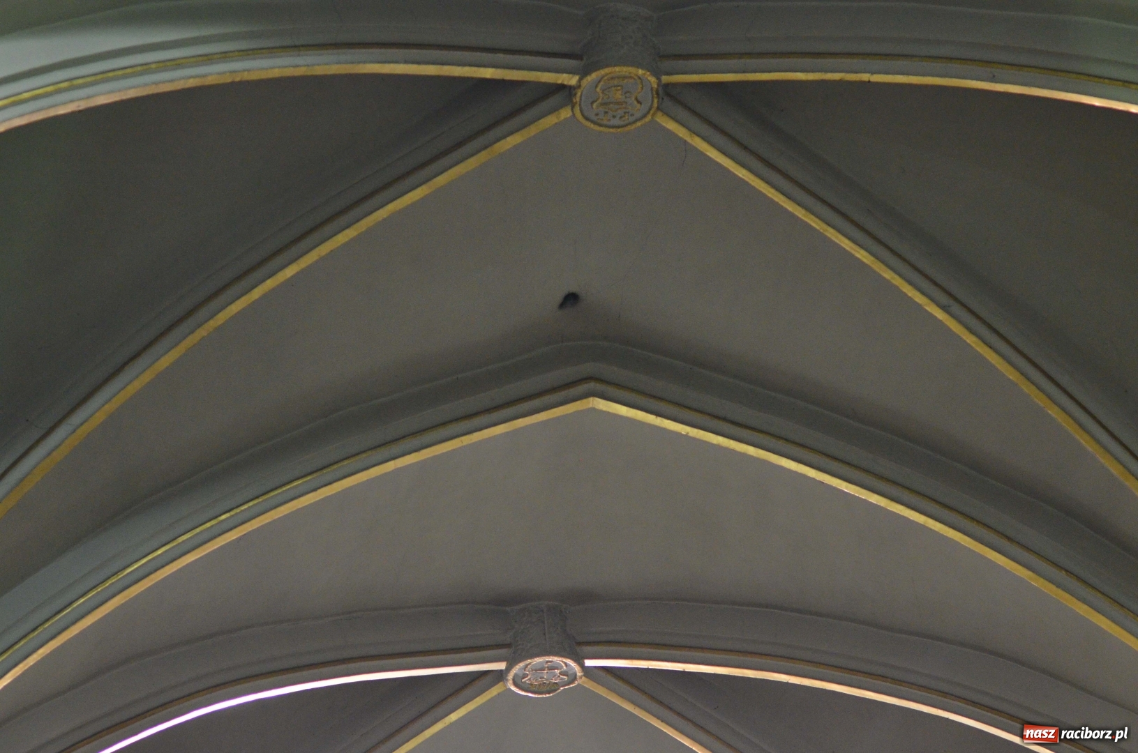 Zdjęcie w galerii na portalu naszraciborz.pl: Organista katedry w Fuldzie zagrał w farnym  wiadomości z regionu