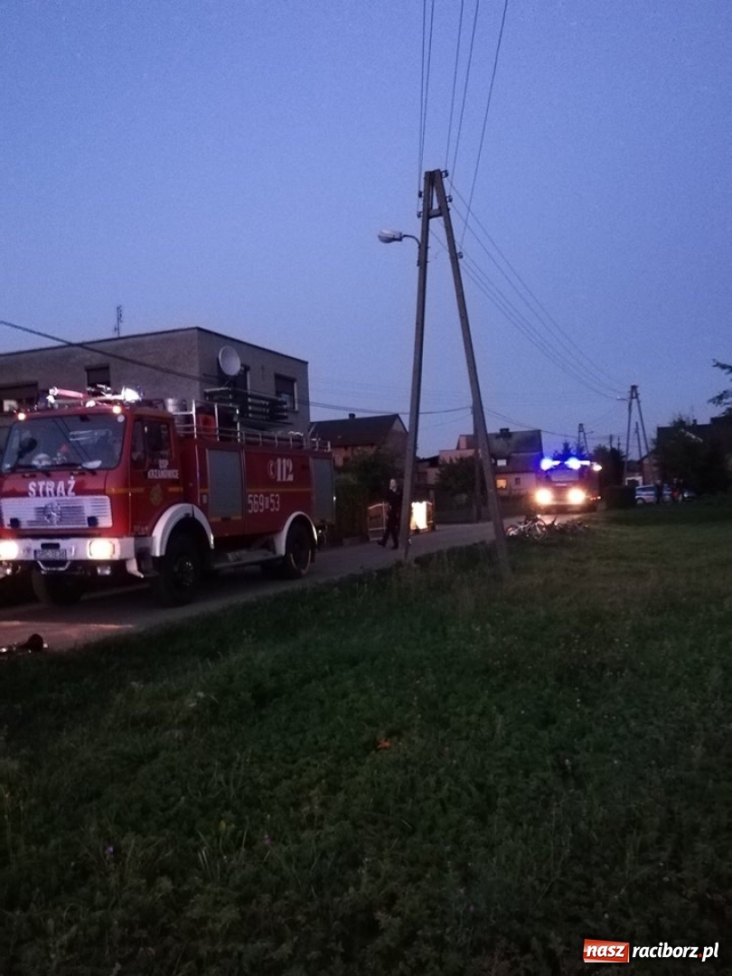 Zdjęcie w galerii na portalu naszraciborz.pl: W Krzanowicach znaleziono pocisk z II wojny światowej  wiadomości z regionu