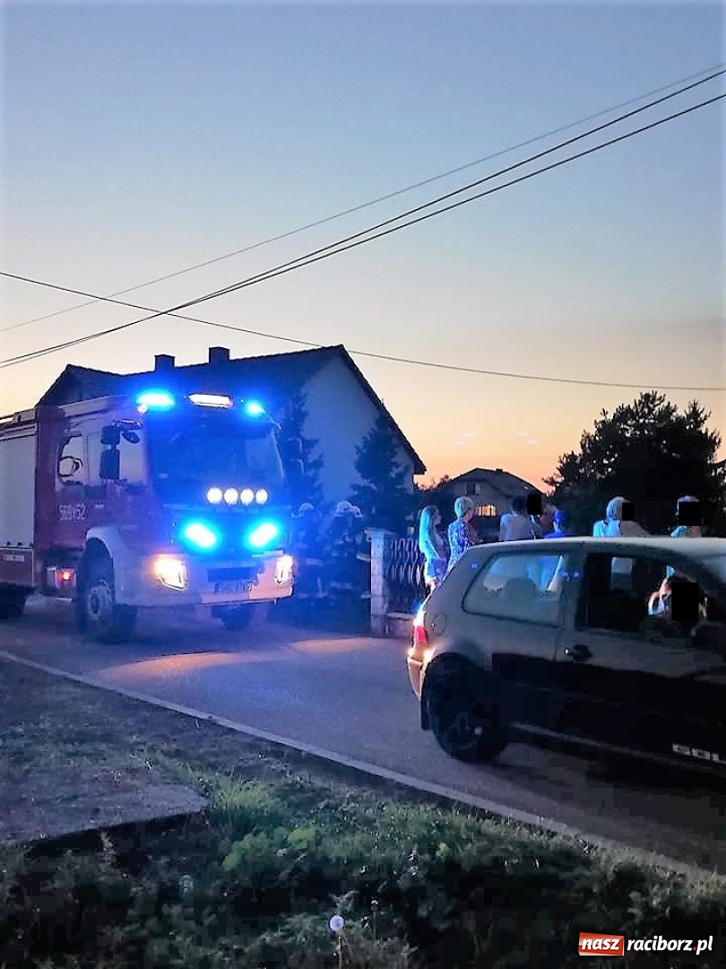 Zdjęcie w galerii na portalu naszraciborz.pl: W Krzanowicach znaleziono pocisk z II wojny światowej  wiadomości z regionu