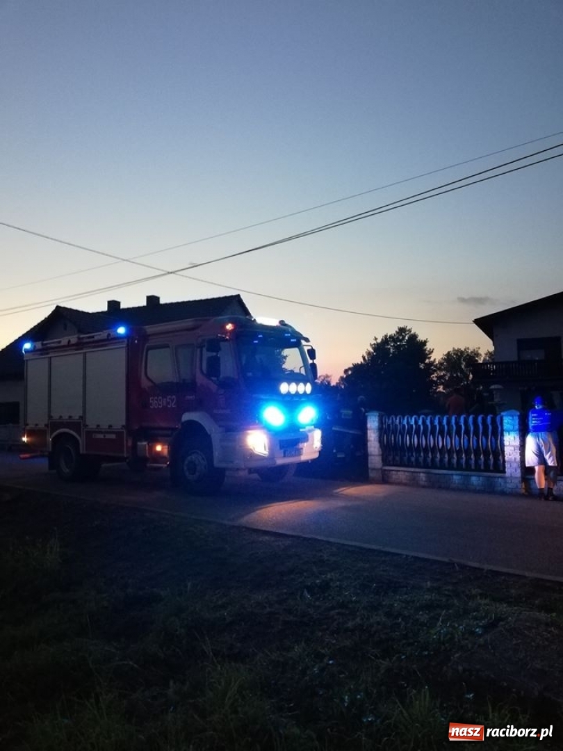 Zdjęcie w galerii na portalu naszraciborz.pl: W Krzanowicach znaleziono pocisk z II wojny światowej  wiadomości z regionu