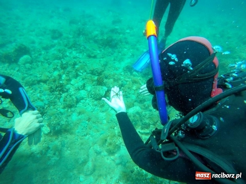 Zdjęcie w galerii na portalu naszraciborz.pl: Fascynująca podwodna przygoda w Twoim zasięgu wiadomości z regionu