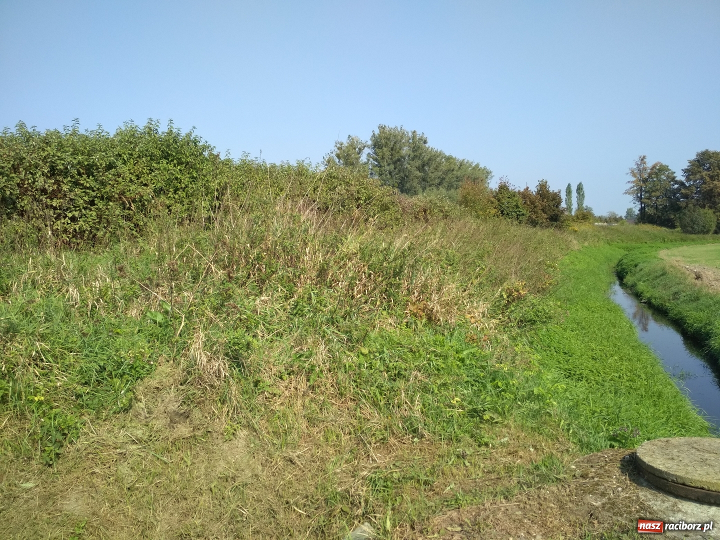 Zdjęcie w galerii na portalu naszraciborz.pl: Krzyżanowice. Podpisano umowę na budowę ścieżki rowerowej  wiadomości z regionu