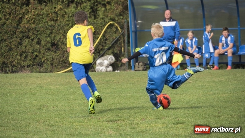 Zdjęcie w galerii na portalu naszraciborz.pl: Młodziki: Derby Raciborza dla Unitów wiadomości z regionu