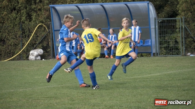 Zdjęcie w galerii na portalu naszraciborz.pl: Młodziki: Derby Raciborza dla Unitów wiadomości z regionu