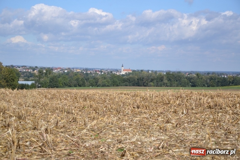 Zdjęcie w galerii na portalu naszraciborz.pl: Krzyżanowice. Rajd rowerowy na zakończenie sezonu wiadomości z regionu