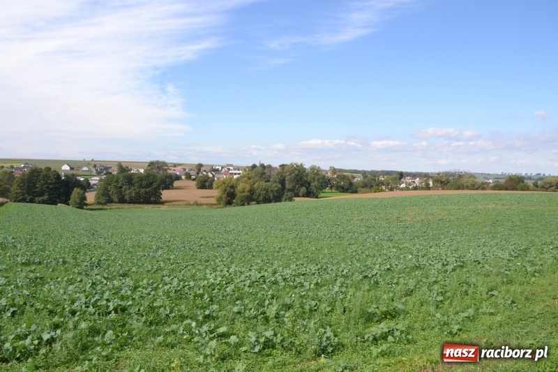 Zdjęcie w galerii na portalu naszraciborz.pl: Krzyżanowice. Rajd rowerowy na zakończenie sezonu wiadomości z regionu