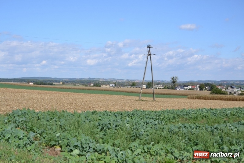 Zdjęcie w galerii na portalu naszraciborz.pl: Krzyżanowice. Rajd rowerowy na zakończenie sezonu wiadomości z regionu