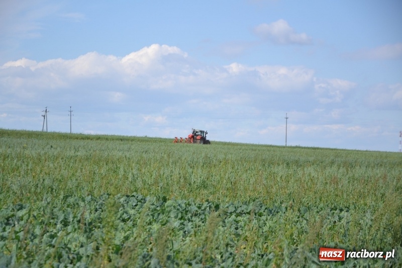 Zdjęcie w galerii na portalu naszraciborz.pl: Krzyżanowice. Rajd rowerowy na zakończenie sezonu wiadomości z regionu