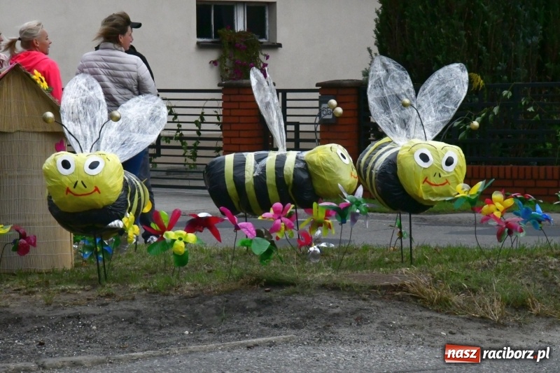 Zdjęcie w galerii na portalu naszraciborz.pl: Aloha! Dożynki w Raszczycach na tropikalną modłę wiadomości z regionu