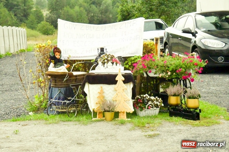 Zdjęcie w galerii na portalu naszraciborz.pl: Aloha! Dożynki w Raszczycach na tropikalną modłę wiadomości z regionu