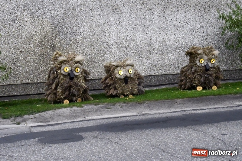 Zdjęcie w galerii na portalu naszraciborz.pl: Aloha! Dożynki w Raszczycach na tropikalną modłę wiadomości z regionu