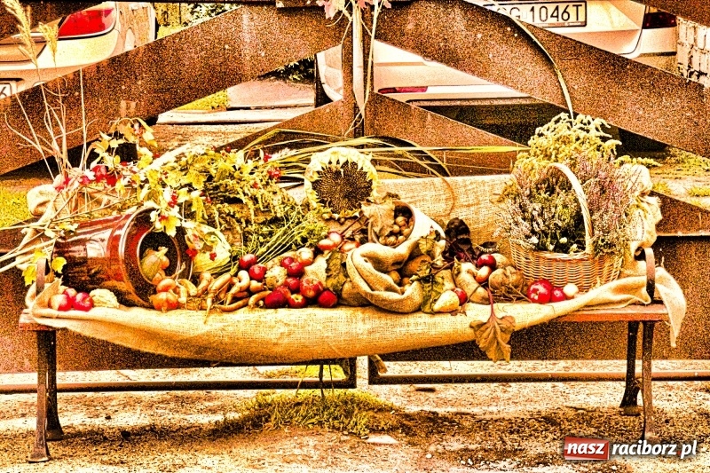 Zdjęcie w galerii na portalu naszraciborz.pl: Aloha! Dożynki w Raszczycach na tropikalną modłę wiadomości z regionu