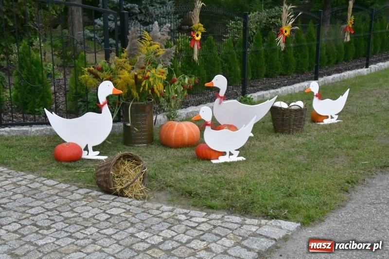 Zdjęcie w galerii na portalu naszraciborz.pl: Aloha! Dożynki w Raszczycach na tropikalną modłę wiadomości z regionu