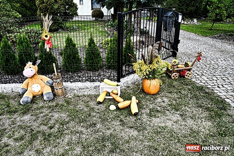 Zdjęcie w galerii na portalu naszraciborz.pl: Aloha! Dożynki w Raszczycach na tropikalną modłę wiadomości z regionu