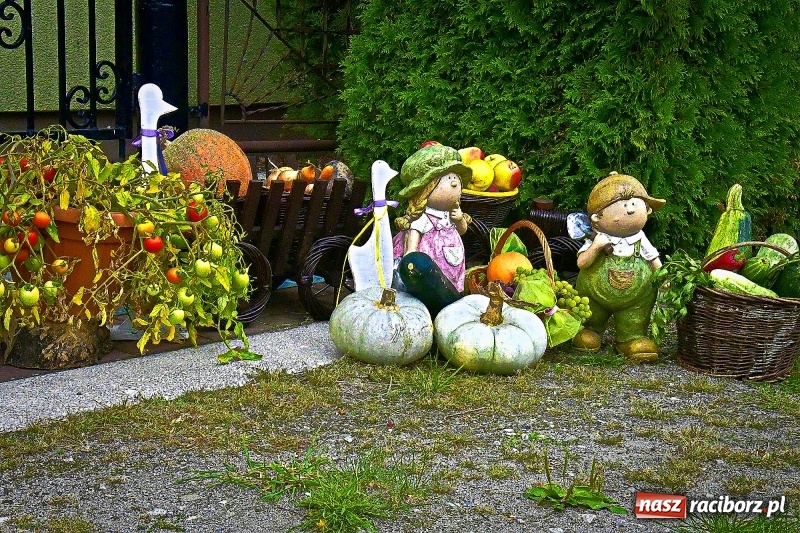 Zdjęcie w galerii na portalu naszraciborz.pl: Aloha! Dożynki w Raszczycach na tropikalną modłę wiadomości z regionu