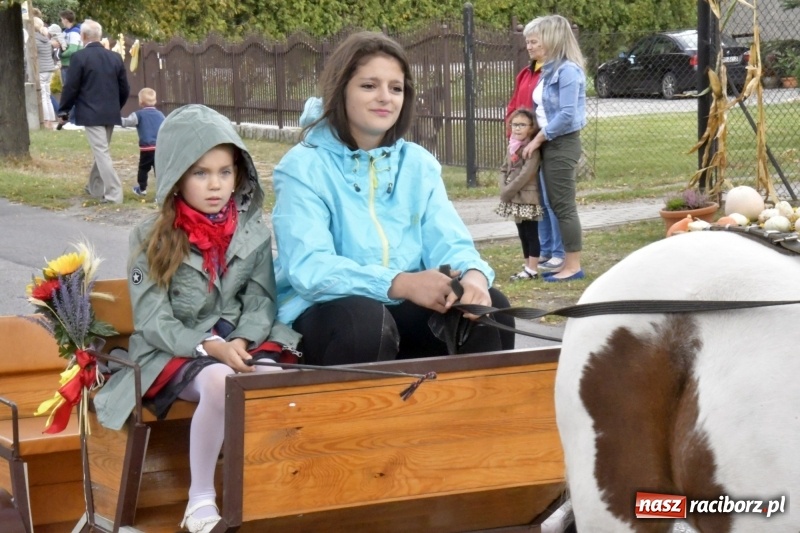 Zdjęcie w galerii na portalu naszraciborz.pl: Aloha! Dożynki w Raszczycach na tropikalną modłę wiadomości z regionu