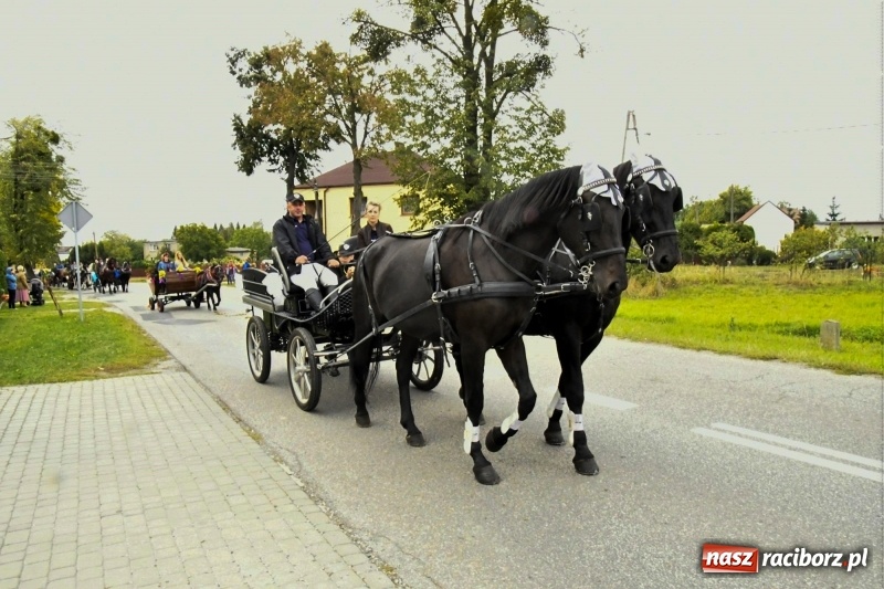 Zdjęcie w galerii na portalu naszraciborz.pl: Aloha! Dożynki w Raszczycach na tropikalną modłę wiadomości z regionu
