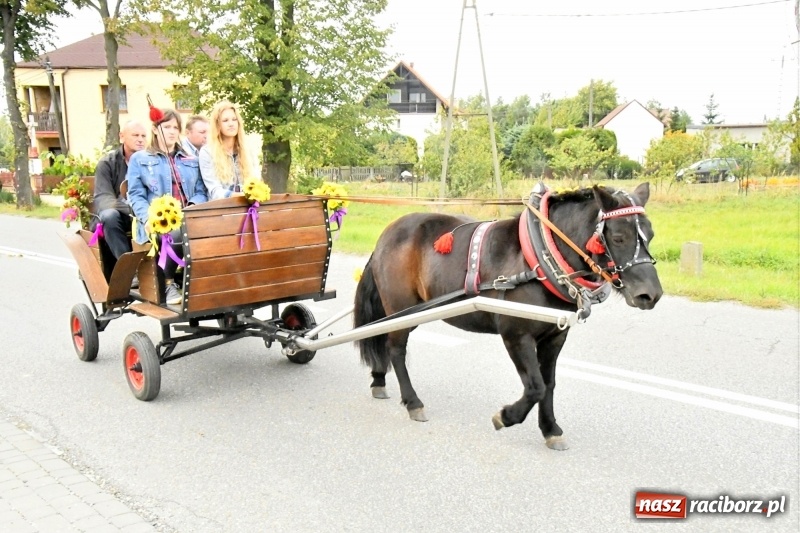 Zdjęcie w galerii na portalu naszraciborz.pl: Aloha! Dożynki w Raszczycach na tropikalną modłę wiadomości z regionu