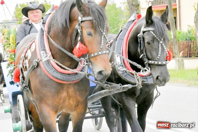 Zdjęcie w galerii na portalu naszraciborz.pl: Aloha! Dożynki w Raszczycach na tropikalną modłę wiadomości z regionu