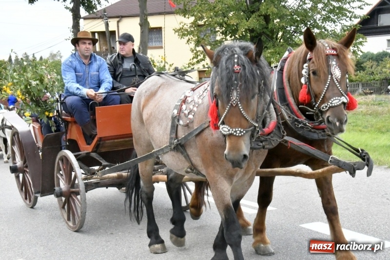 Zdjęcie w galerii na portalu naszraciborz.pl: Aloha! Dożynki w Raszczycach na tropikalną modłę wiadomości z regionu