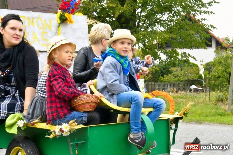 Zdjęcie w galerii na portalu naszraciborz.pl: Aloha! Dożynki w Raszczycach na tropikalną modłę wiadomości z regionu