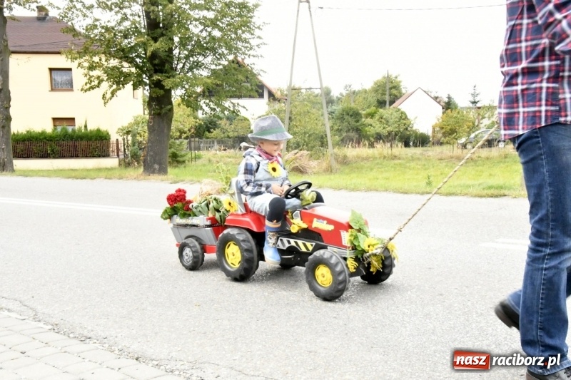 Zdjęcie w galerii na portalu naszraciborz.pl: Aloha! Dożynki w Raszczycach na tropikalną modłę wiadomości z regionu