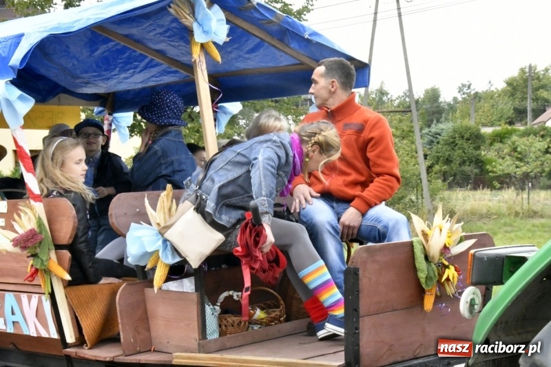 Zdjęcie w galerii na portalu naszraciborz.pl: Aloha! Dożynki w Raszczycach na tropikalną modłę wiadomości z regionu