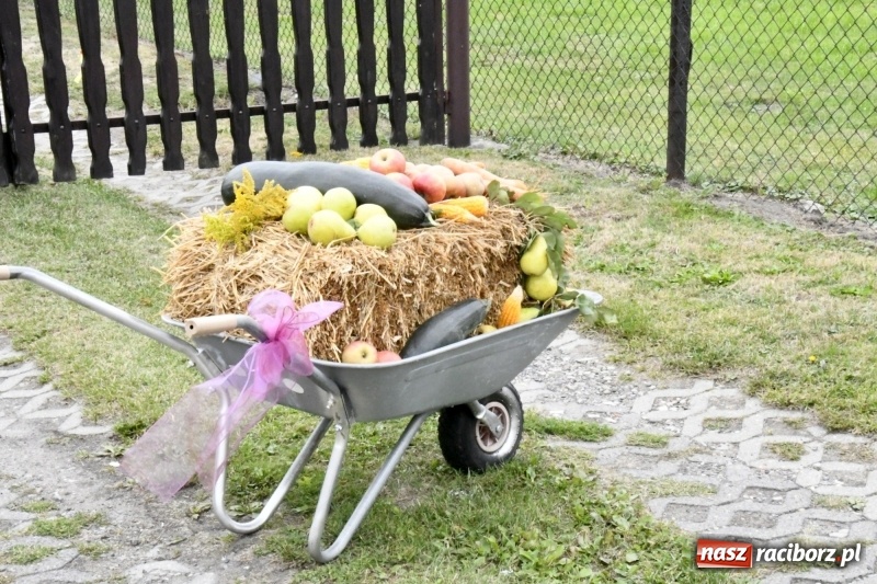 Zdjęcie w galerii na portalu naszraciborz.pl: Aloha! Dożynki w Raszczycach na tropikalną modłę wiadomości z regionu