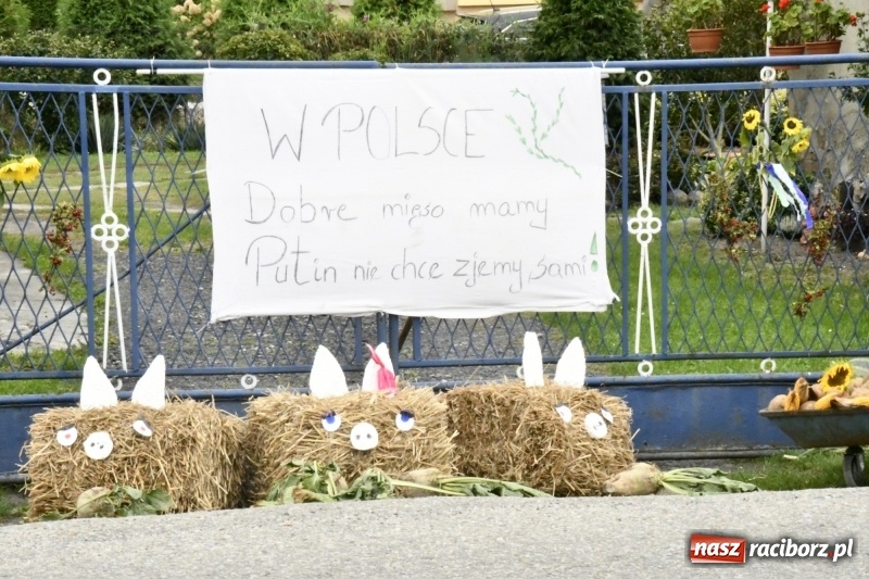 Zdjęcie w galerii na portalu naszraciborz.pl: Aloha! Dożynki w Raszczycach na tropikalną modłę wiadomości z regionu