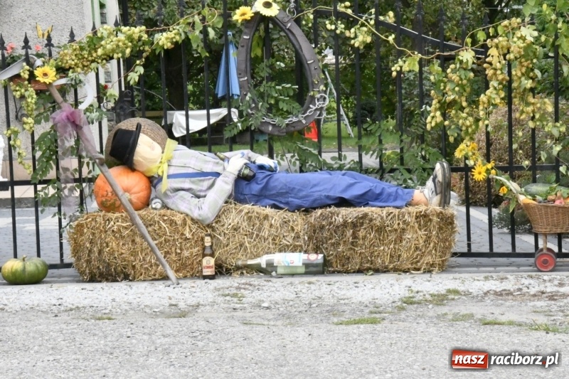 Zdjęcie w galerii na portalu naszraciborz.pl: Aloha! Dożynki w Raszczycach na tropikalną modłę wiadomości z regionu