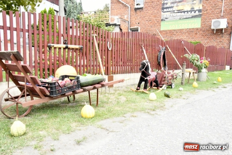 Zdjęcie w galerii na portalu naszraciborz.pl: Aloha! Dożynki w Raszczycach na tropikalną modłę wiadomości z regionu