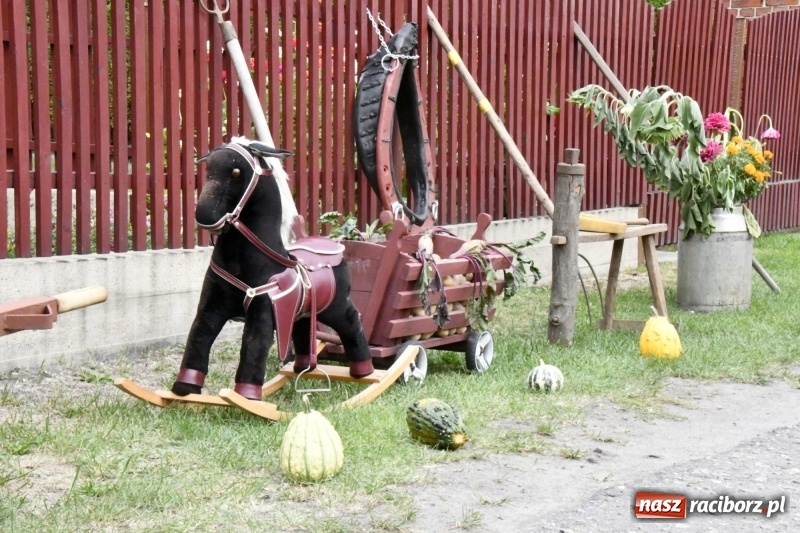 Zdjęcie w galerii na portalu naszraciborz.pl: Aloha! Dożynki w Raszczycach na tropikalną modłę wiadomości z regionu