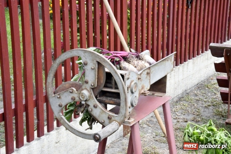 Zdjęcie w galerii na portalu naszraciborz.pl: Aloha! Dożynki w Raszczycach na tropikalną modłę wiadomości z regionu