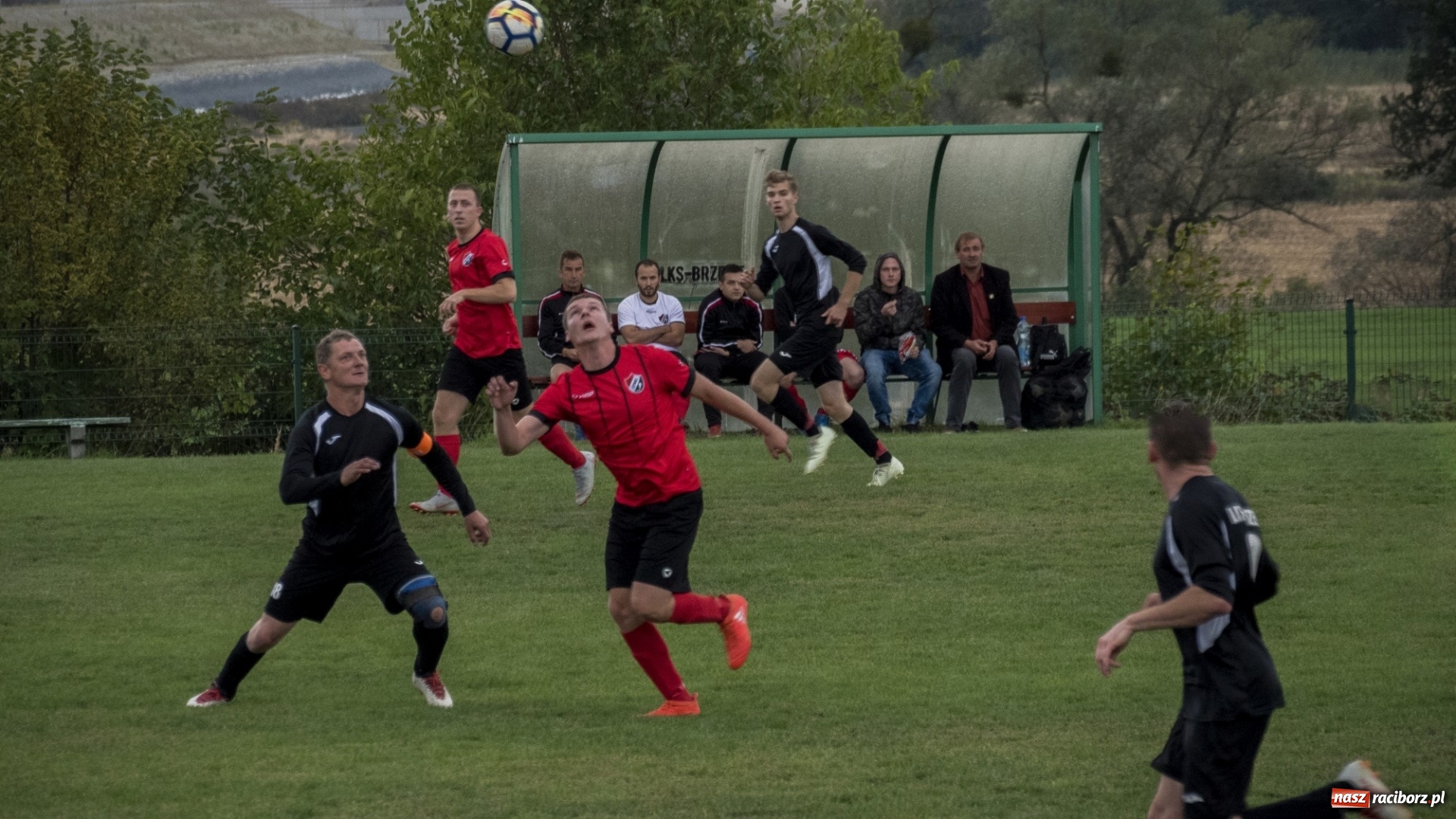 Zdjęcie w galerii na portalu naszraciborz.pl: A klasa: Pewna wygrana Brzezia w starciu z Lyskami wiadomości z regionu