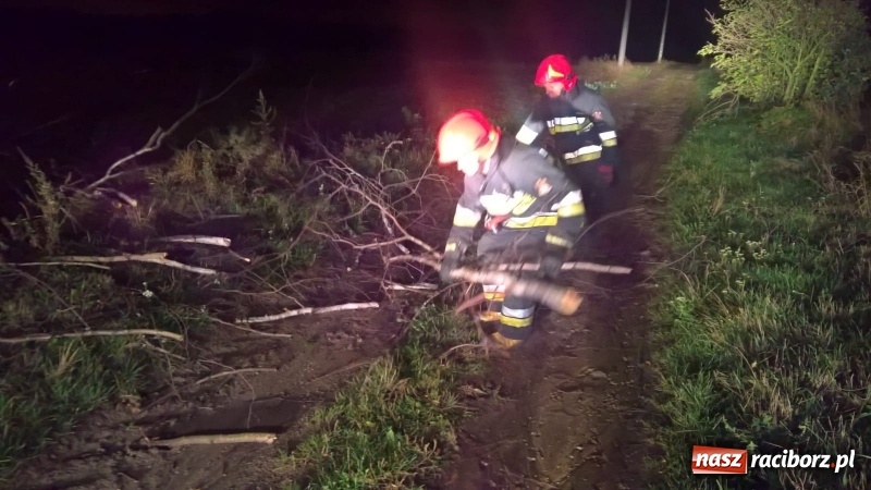 Zdjęcie w galerii na portalu naszraciborz.pl: Uszkodzone samochody, dach kościoła farnego, powalone drzewa. Nocna wichura nad Raciborzem FOTO wiadomości z regionu