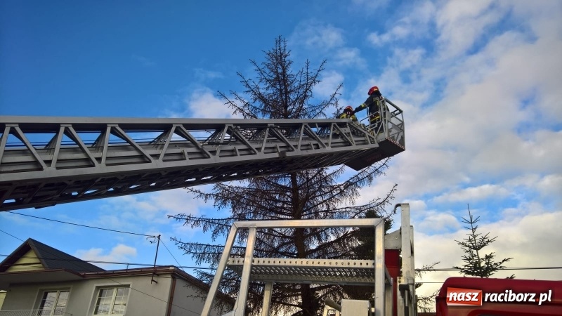 Zdjęcie w galerii na portalu naszraciborz.pl: Uszkodzone samochody, dach kościoła farnego, powalone drzewa. Nocna wichura nad Raciborzem FOTO wiadomości z regionu