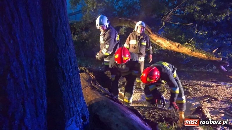 Zdjęcie w galerii na portalu naszraciborz.pl: Uszkodzone samochody, dach kościoła farnego, powalone drzewa. Nocna wichura nad Raciborzem FOTO wiadomości z regionu