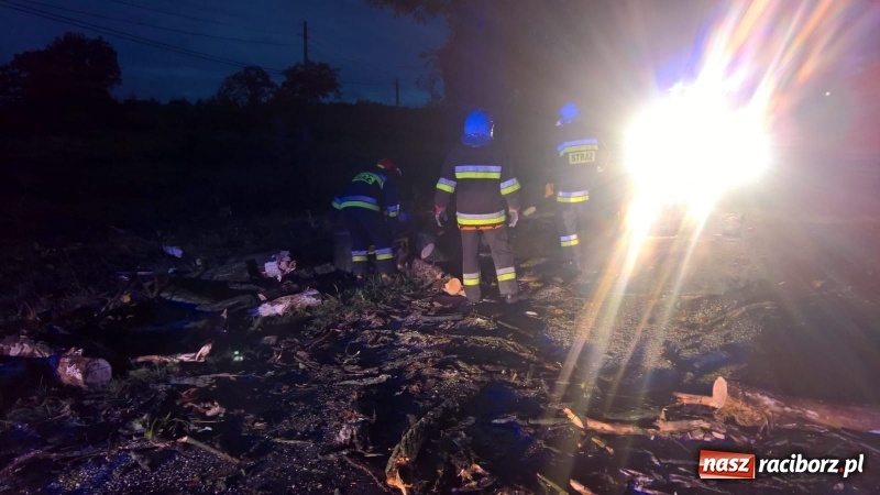 Zdjęcie w galerii na portalu naszraciborz.pl: Uszkodzone samochody, dach kościoła farnego, powalone drzewa. Nocna wichura nad Raciborzem FOTO wiadomości z regionu