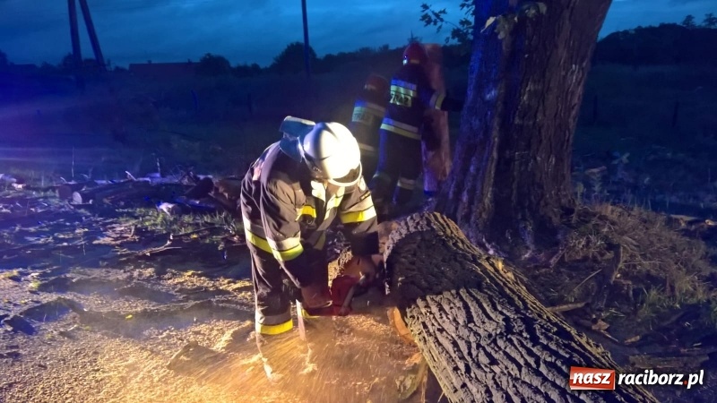 Zdjęcie w galerii na portalu naszraciborz.pl: Uszkodzone samochody, dach kościoła farnego, powalone drzewa. Nocna wichura nad Raciborzem FOTO wiadomości z regionu