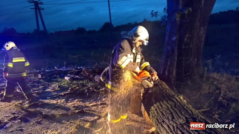 Zdjęcie w galerii na portalu naszraciborz.pl: Uszkodzone samochody, dach kościoła farnego, powalone drzewa. Nocna wichura nad Raciborzem FOTO wiadomości z regionu