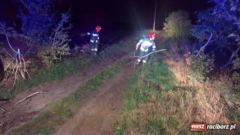 Zdjęcie w galerii na portalu naszraciborz.pl: Uszkodzone samochody, dach kościoła farnego, powalone drzewa. Nocna wichura nad Raciborzem FOTO wiadomości z regionu