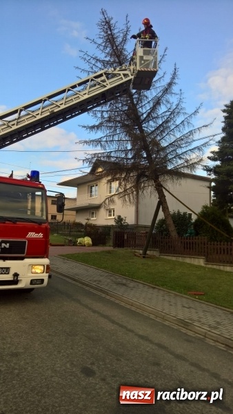 Zdjęcie w galerii na portalu naszraciborz.pl: Uszkodzone samochody, dach kościoła farnego, powalone drzewa. Nocna wichura nad Raciborzem FOTO wiadomości z regionu