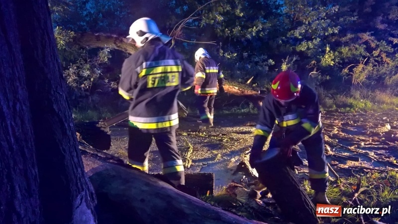Zdjęcie w galerii na portalu naszraciborz.pl: Uszkodzone samochody, dach kościoła farnego, powalone drzewa. Nocna wichura nad Raciborzem FOTO wiadomości z regionu