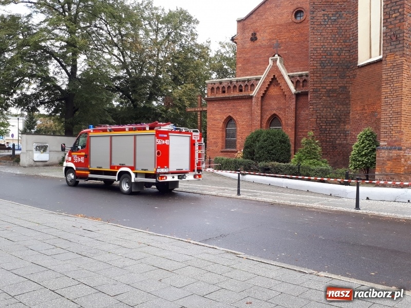 Zdjęcie w galerii na portalu naszraciborz.pl: Uszkodzone samochody, dach kościoła farnego, powalone drzewa. Nocna wichura nad Raciborzem FOTO wiadomości z regionu