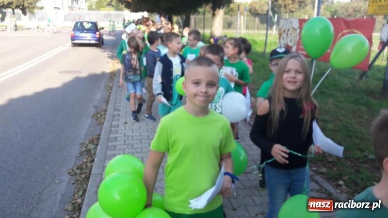 Zdjęcie w galerii na portalu naszraciborz.pl: EkoElfy z SP 15, czyli Sprzątanie Świata 2018 wiadomości z regionu