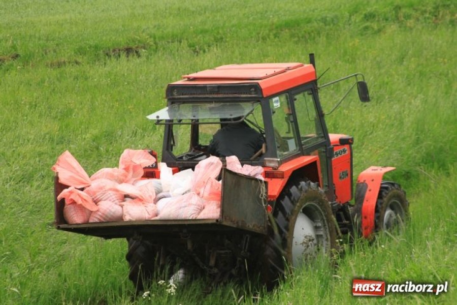 Zdjęcie w galerii na portalu naszraciborz.pl: W okolicach Zawady kolejny przeciek wiadomości z regionu