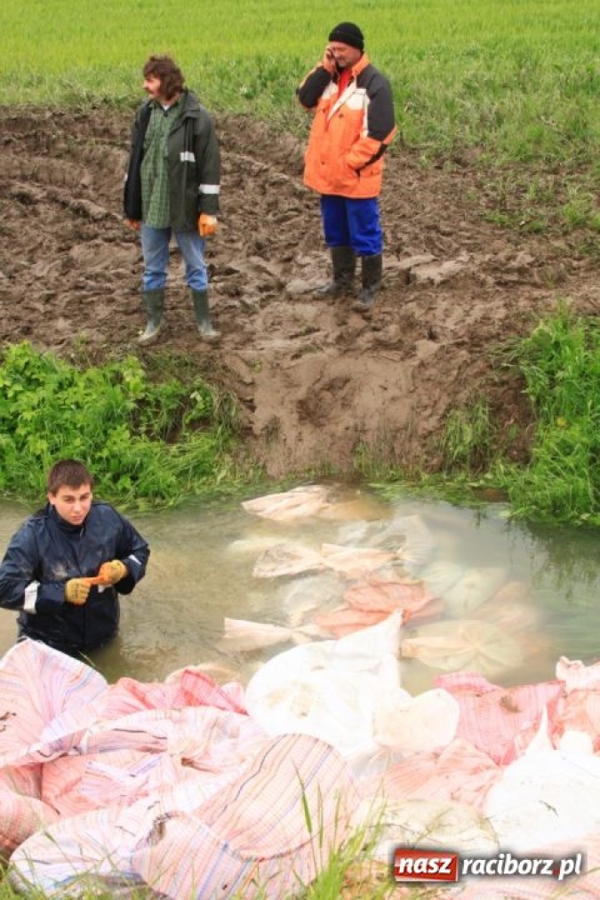Zdjęcie w galerii na portalu naszraciborz.pl: W okolicach Zawady kolejny przeciek wiadomości z regionu