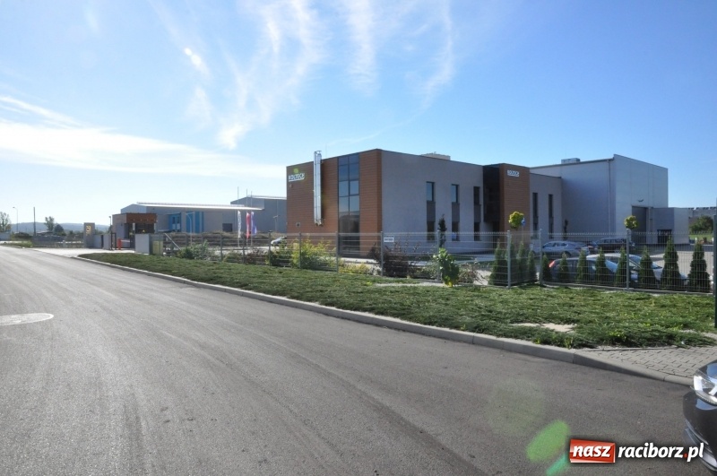 Zdjęcie w galerii na portalu naszraciborz.pl: Coraz więcej nowych zakładów w Raciborzu Ostrogu. Miasto pochwaliło się dwiema strefami gospodarczymi przy Uldze  wiadomości z regionu