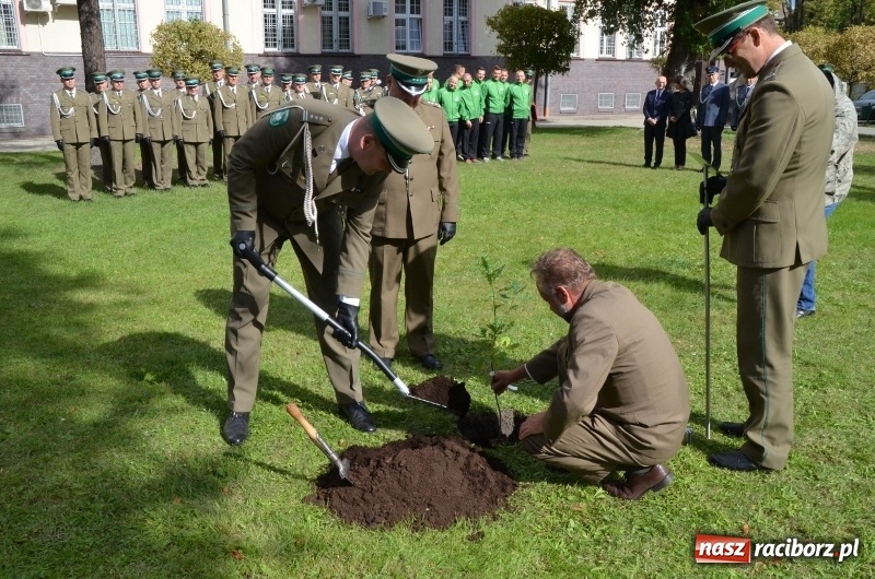 Zdjęcie w galerii na portalu naszraciborz.pl: W komendzie śląskiej Straży Granicznej posadzono Dąb Niepodległości wiadomości z regionu